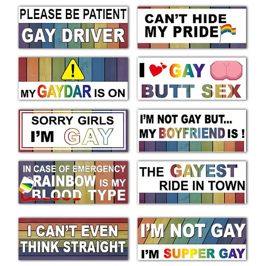 10 Pcs Funny LGBT Magnetic Bumper Stickers